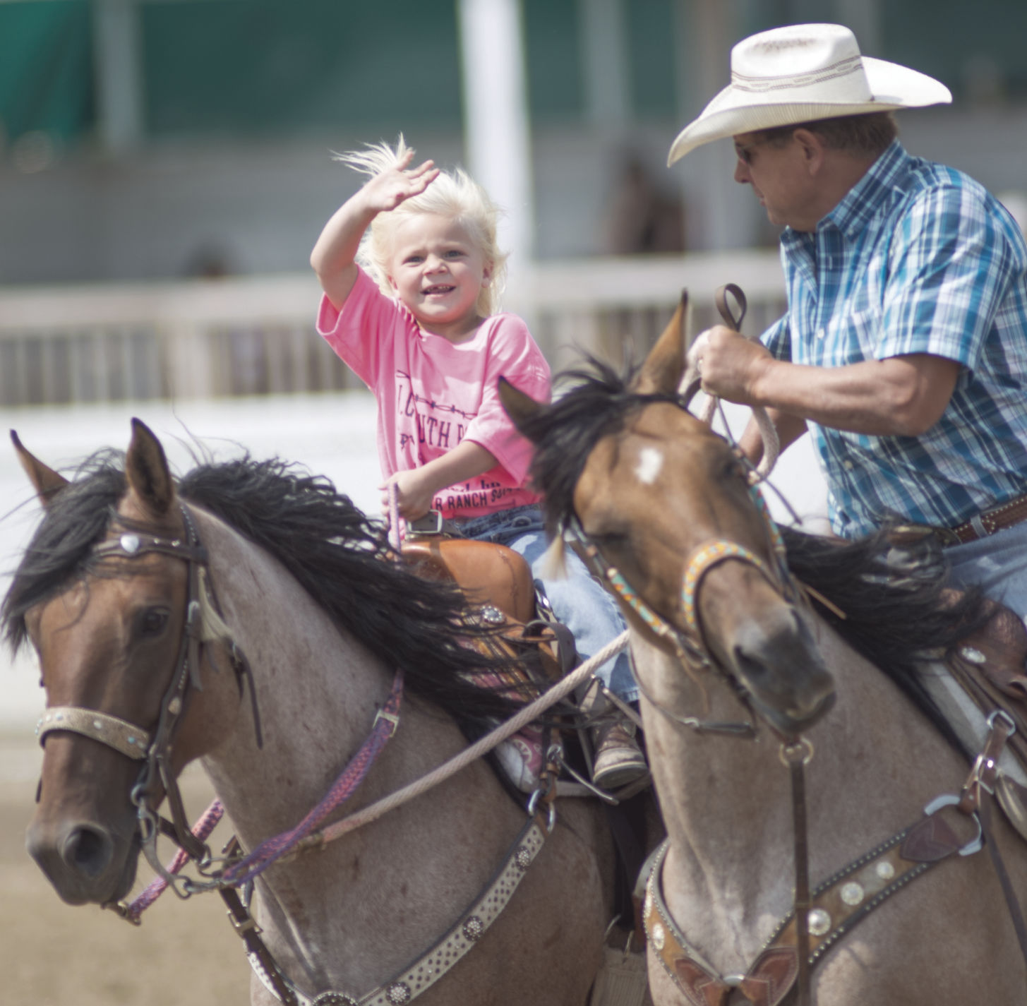 Numbers up for youth rodeo 2